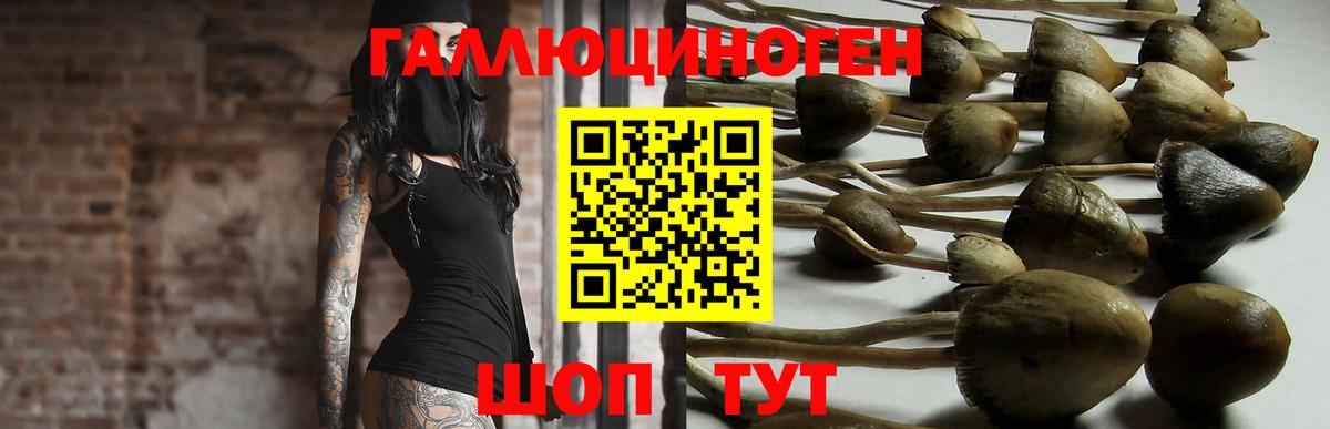 Псилоцибиновые грибы MAGIC MUSHROOMS  Вход с VPN  Галлюциногенные грибы Psilocybe  Рузаевка 